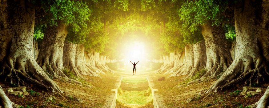 Through Experience The Way Through Experience | Home